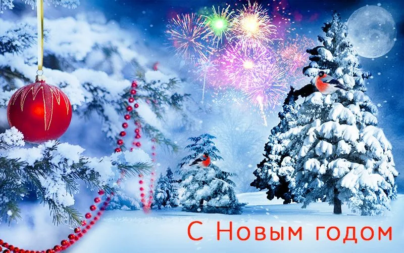 С наступающим Новым годом и Рождеством Христовым!
