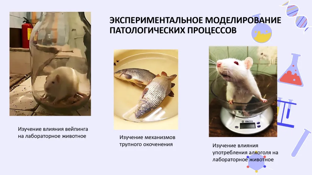 СНО патофизиология_page-0004.jpg