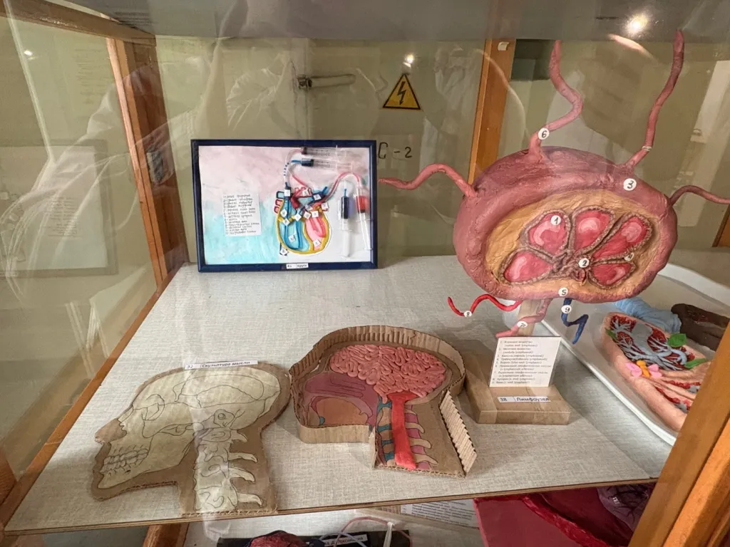 Фрагмент конкурсной выставки