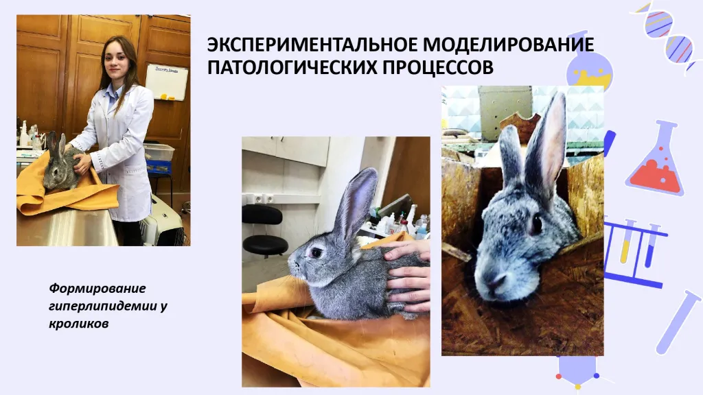 СНО патофизиология_page-0003.jpg