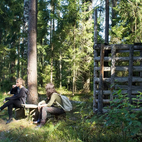 Поход "Брянцево - Санаторий", турклуб "Северная птица", 10 сентября 2023 г. - фото 12