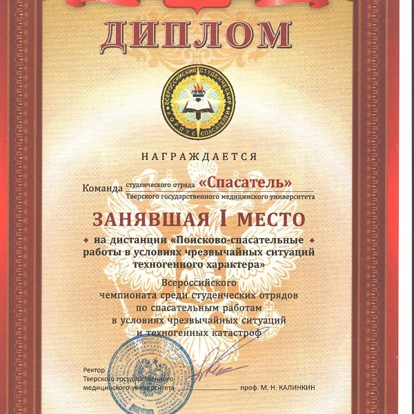 ﻿Дипломы с чемпионата. - фото 5