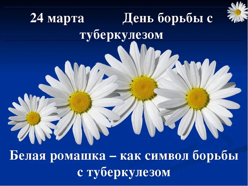 24 марта - Всемирный день борьбы с туберкулезом 24 марта - Всемирный день борьбы с туберкулезом