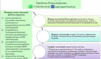 Организация работы СНК