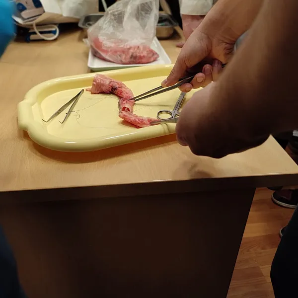 В Школе хирурга ТвГМУ прошла лекция представителя НМИЦ трансплантологии и искусственных органов им. В.И. Шумакова  - фото 4