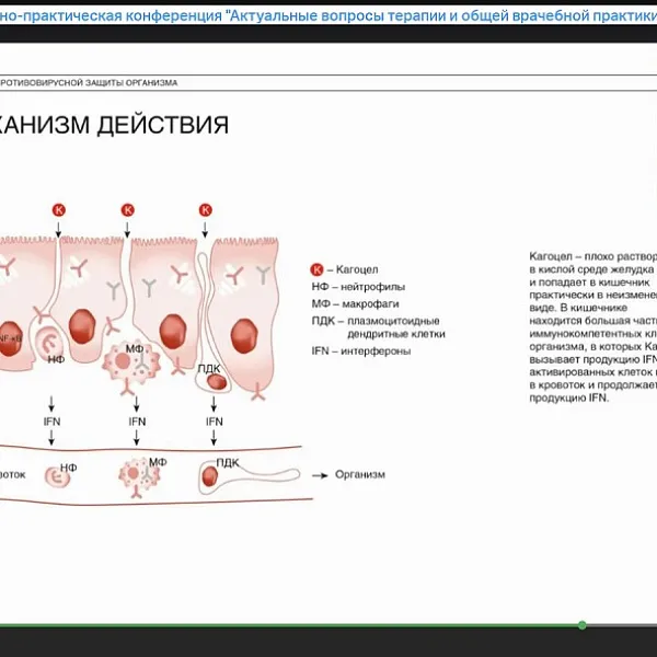 Межрегиональная научно-практическая конференция  «Актуальные вопросы терапии и общей врачебной практики», 25.05.2020 - фото 5