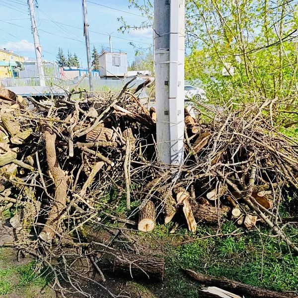 Тверской медуниверситет вышел на Всероссийский субботник  - фото 5