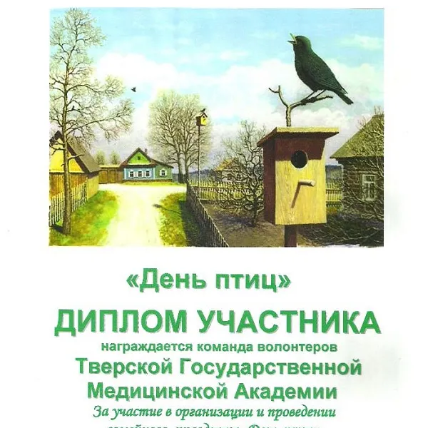 Акция "День птиц" - фото 5