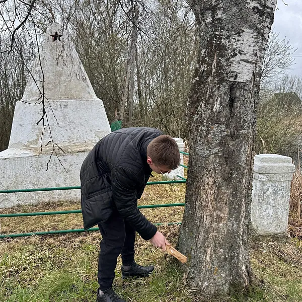 Студенты ТвГМУ приняли участие в акции «Молодёжь Верхневолжья сохраняет память поколений» - фото 1