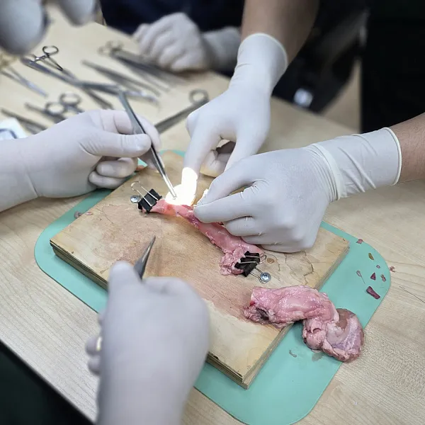 В ТвГМУ прошла первая межвузовская олимпиада по хирургическим навыкам «Волжский шов»  - фото 1