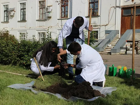 Тверской ГМУ запустил акцию «Дерево дружбы» Тверской ГМУ запустил акцию «Дерево дружбы»