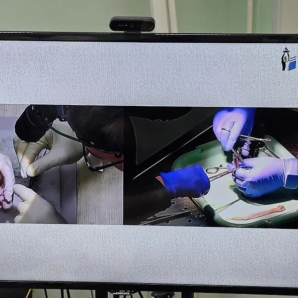 В ТвГМУ прошла первая межвузовская олимпиада по хирургическим навыкам «Волжский шов»  - фото 4