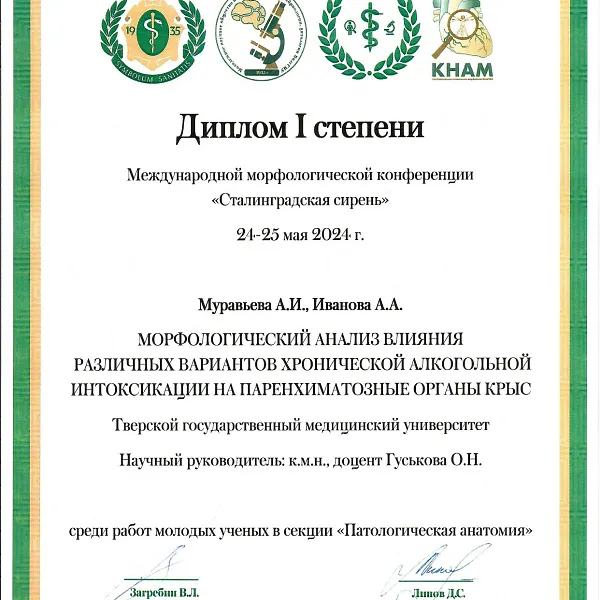 «Сталинградская сирень – 2024» - фото 11