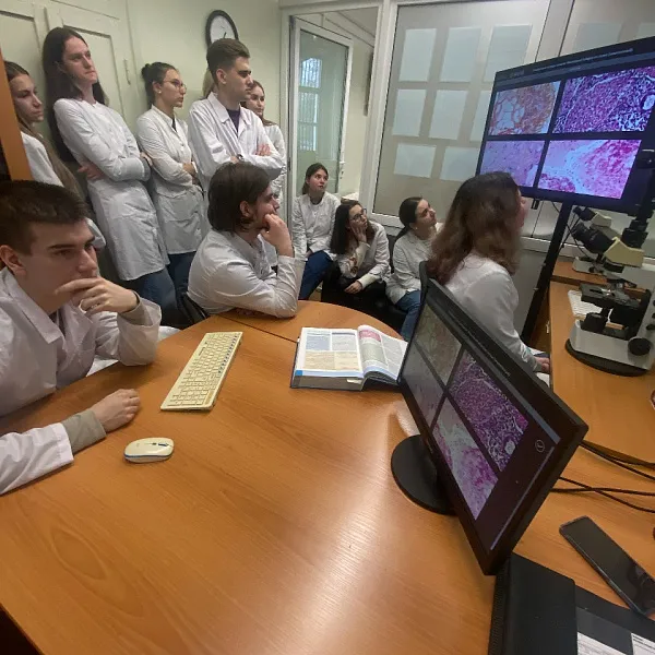 3D-ТЕХНОЛОГИИ В СОВРЕМЕННОМ МЕДИЦИНСКОМ ОБРАЗОВАНИИ - фото 2