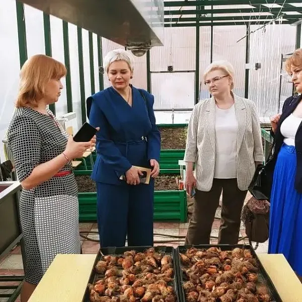 Студенты и преподаватели ТвГМУ стали участниками Х Всероссийского инклюзивного фестиваля #ЛюдиКакЛюди - фото 1