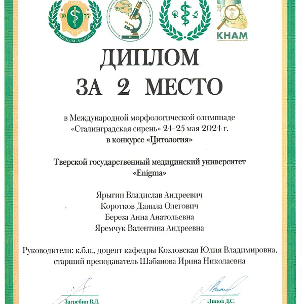 «Сталинградская сирень – 2024» - фото 16