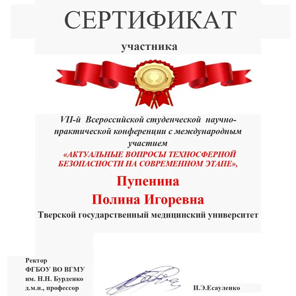 VII Всероссийская студенческая научно-практическая конференция "Актуальные вопросы техносферной безопасности на современном этапе". Итоги - фото 6