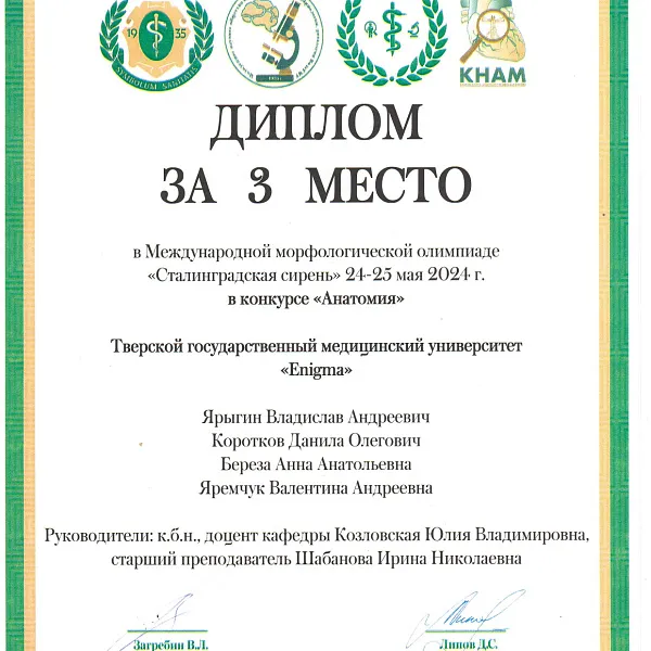 «Сталинградская сирень – 2024» - фото 17