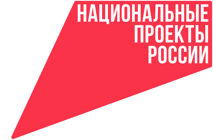 Национальные проекты России