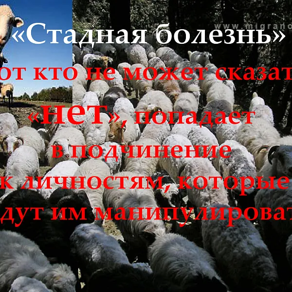 Краткий экскурс в проблему немедицинского употребления психоактивов - фото 16