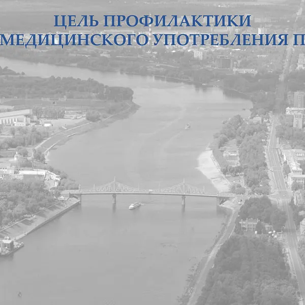 Краткий экскурс в проблему немедицинского употребления психоактивов - фото 7