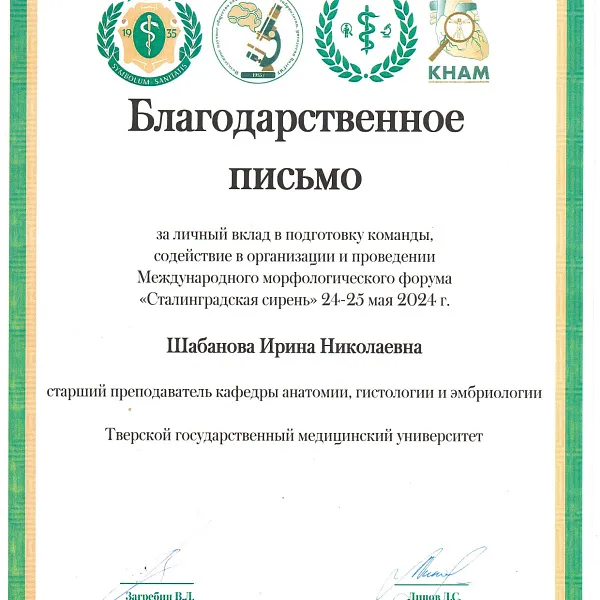 «Сталинградская сирень – 2024» - фото 13