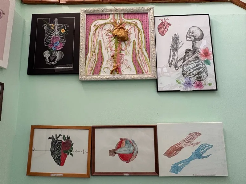 Конкурсы анатомического рисунка и модели под названием «Omnia Preclara Rara»