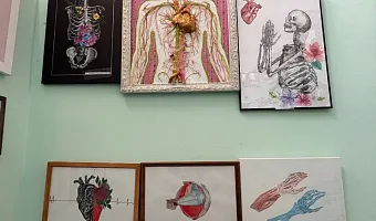 Конкурсы анатомического рисунка и модели под названием «Omnia Preclara Rara»