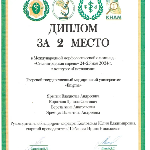 «Сталинградская сирень – 2024» - фото 14