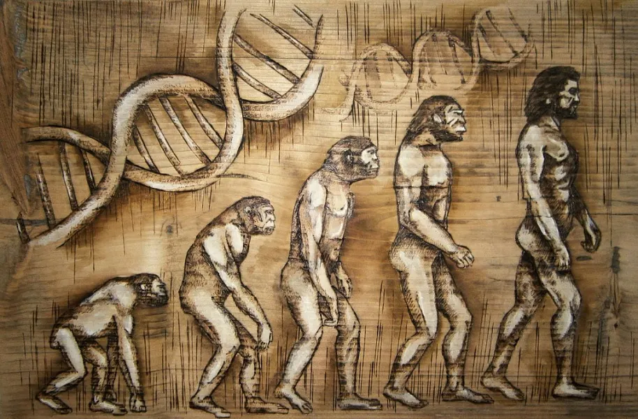 25-е заседание научно-методического семинара "Тверская земля и сопредельные территории в древности", 21.03.2023 - 24.03.2023.  СЕКЦИЯ "АНТРОПОЛОГИЯ, БИОЛОГИЯ И МЕДИЦИНА В СОВРЕМЕННЫХ АРХЕОЛОГИЧЕСКИХ ИССЛЕДОВАНИЯХ"