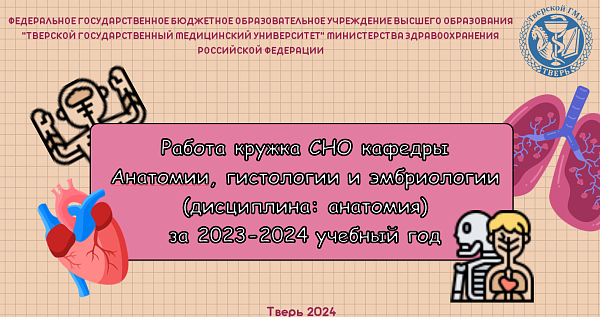 Работа кружка СНО кафедры Анатомии, гистологии и эмбриологии (дисциплина: анатомия) за 2023-2024 учебный год