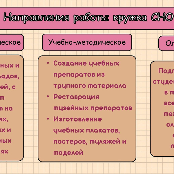 Работа кружка СНО кафедры Анатомии, гистологии и эмбриологии (дисциплина: анатомия) за 2023-2024 учебный год - фото 6