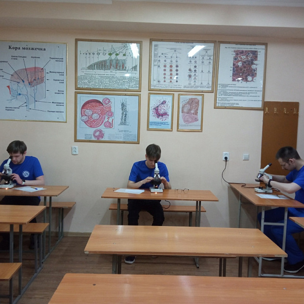 II Международная студенческая олимпиада по морфологии "Медицина без границ" - фото 1