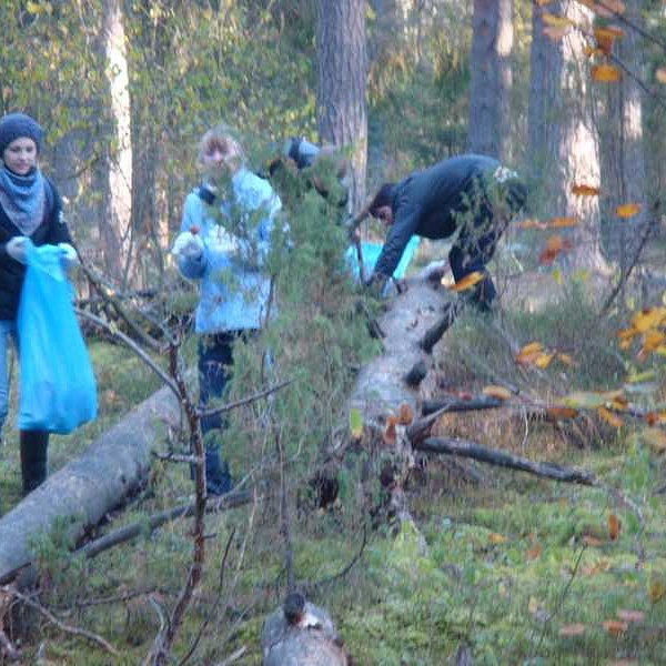 Акция «Чистый лес» в лагере в Протасово - фото 2